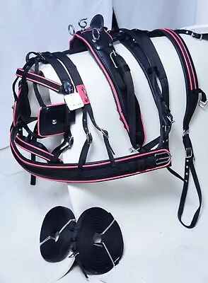 Nylon Webbing Horse Driving Cart Harness Set Two Tone Black/pink Colour • £69.99