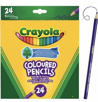 Crayola Colouring Pencils 24 Assorted Colours Fine Point Tip Ages 3+ • £4.20