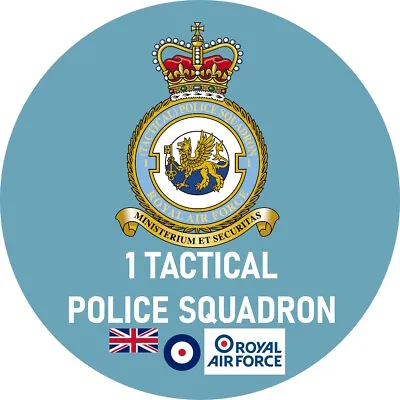 RAF PIN BADGE * Choose Your Squad * FROM RAF BRIZE NORTON & RAF COLLEGE CRANWELL • £3