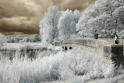 £225 • Buy Nikon D5000 Full Spectrum Converted Camera. Infrared/ Astro Modified Camera.