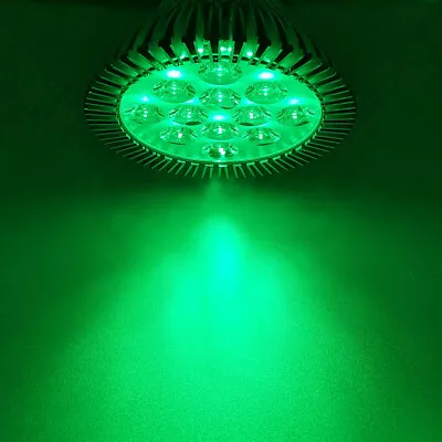 36W PAR38 Green 520nm~525nm LED Lamp Spot Light Bulb Therapy Plant Aquarium • $23.99