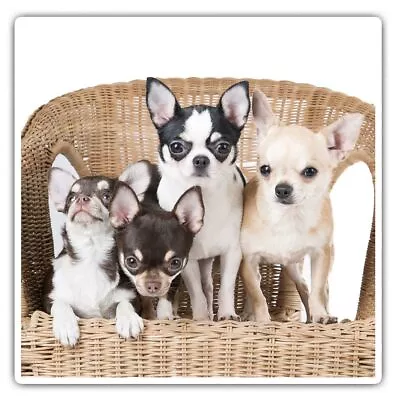£3.99 • Buy 2 X Square Stickers 7.5 Cm - Chihuahua Puppies Dogs Puppy Dog  #44581