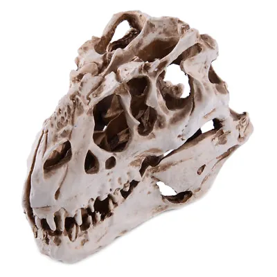 Tyrannosaurus T-Rex Skull Resin Fossil Model Dinosaur Collectibles Replica • £21.43