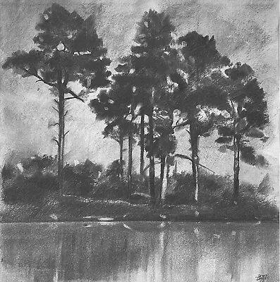 Original Charcoal Drawing On Paper. 42cm By 42cm. 'Surrey Pines'. Not A Print. • £260