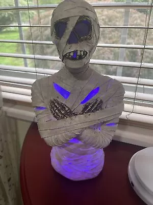 Mummy Bust. Lights Up • $40