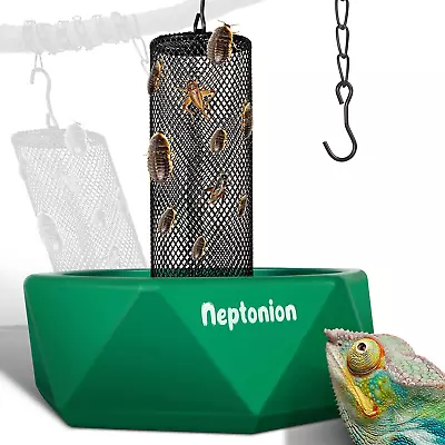 Hookable Chameleon Feeding Bowl Professional Live Worm Organizer With Column Fo • $59.17