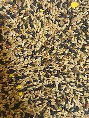 Canary Mixed Seed • £8.50