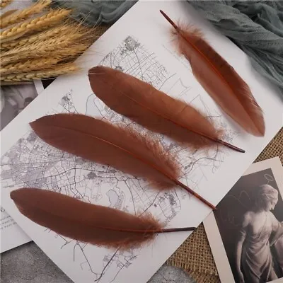 Brown Goose Feathers Long Excellent Quality 15-22cm Specialist Plumes Craft Xl • £4.99