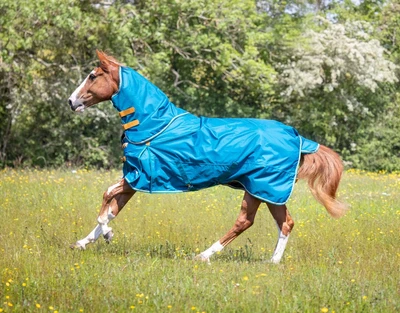 £69.99 • Buy Shires Highlander Original 0g Horse Turnout Rug & Neck Set | Teal | 5'0 -7'3 