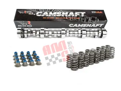 Brian Tooley Racing (BTR) NEW Stage 4 V2 LS Truck Cam Kit - 4.8/5.3/6.0 • $417.08