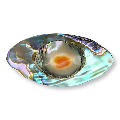 Vintage Abalone Blister Pearl Victorian Brooch Pin Very Pretty • $74.99
