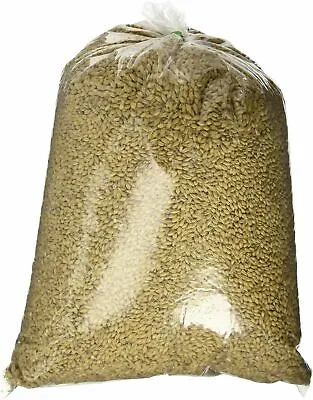 2-Row Malted Barley 10 Lbs For Home Brew Beer Making • $35.99