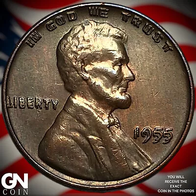 1955/55 DOUBLED DIE OBVERSE Lincoln Cent Wheat Penny X7939 • $2488