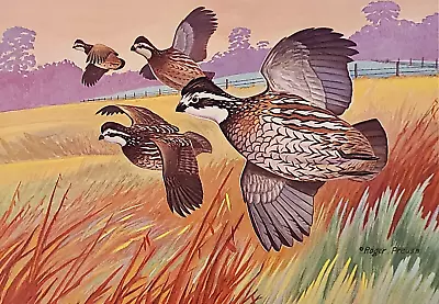 NEW Bob White Quail Print By Roger Preuss - Hunting - Cabin - Lodge - Sportsman • $7.61