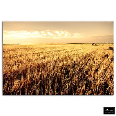 Corn Field   Landscapes BOX FRAMED CANVAS ART Picture HDR 280gsm • £19.99