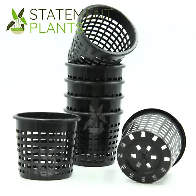 $27.95 • Buy 80mm Mesh Net Plant Basket Pot - Hydroponics, Orchids - Heavy Duty - Various Qty
