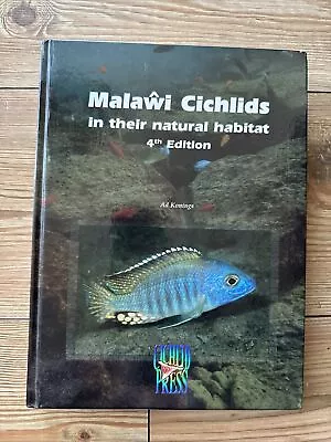 Malawi Cichlids In Their Natural Habitat • £40