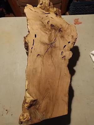 Mesquite Burl Wood Slab Live Edge. Rough Saw Cut. • $220