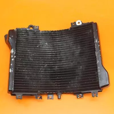 93-01 Kawasaki Ninja Zx11 Zx1100d Oem Engine Radiator Motor Cooler Cooling • $45