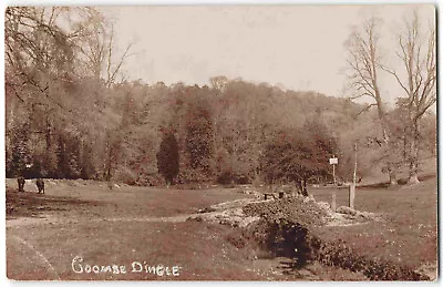 Bristol Coombe Dingle - Pre WWI Real Photo Postcard T15 • $14.65