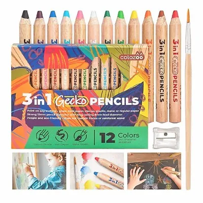 Jumbo Children Pencils Woody 3 In 1 With 12 Assorted Colours Crayon Watercolours • £9.99