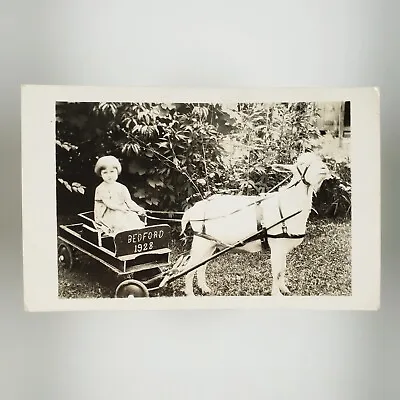 Bedford Goat Cart Girl RPPC Postcard 1920s Child Holding Reigns Real Photo B2870 • $36.95