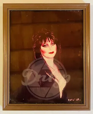 Elvira Black Costume Candid Outdoors 8x10 Photo Framed Horror Vintage USA 11 • $69.99