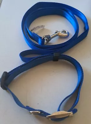 Dog Puppy Adjustable Collar Bright & Basic Solid Color Blue With 5' Leash Nylon • $6