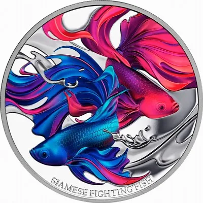 Niue 2024 SIAMESE FIGHTING FISH Red Blue Betta $1 1 Oz Pure Silver Proof In OGP • $109.95