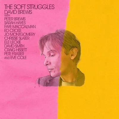 David Brewis - The Soft Struggles (NEW CD) • £11.49