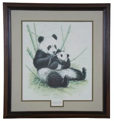 Vtg Guy Coheleach Panda Bear & Cub Framed Lithograph Bamboo Forest Wildlife 26  • $92