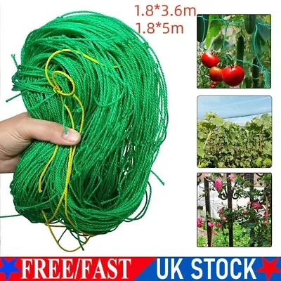 Plant Support Mesh Garden Net Vegetable Fruit Climbing Netting Pea Bean Trellis • £5.69