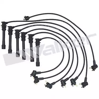 Spark Plug Wire Set-GAS Walker Products 924-1282 • $61.87