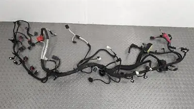 20-23 Dodge Charger Srt 392 Engine Body Wire Wiring Harness 68307111ad Oem • $425.86
