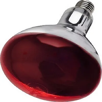 £12.89 • Buy INFA-RED HEAT LAMP BULB FOR POULTRY,BROODER CHICKS PUPPIES PIGS LIVESTOCK 250w