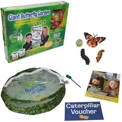 £25.59 • Buy Insect Lore Giant Live Butterfly Garden W/ 45cm Habitat & Redemption Certificate