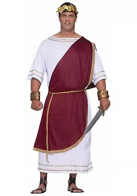 Mighty Hail Caesar Costume Plus Size 3XL  Mens Toga Greek Roman Emperor Costume • $14.95