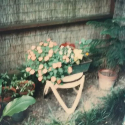 Vintage Polaroid Photo Blurry Flowers Garden Pots Odd Surreal Found Art Snapshot • $12.95
