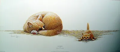£35 • Buy Warwick Higgs - Catnap - Cat - Open Edition - Print Only