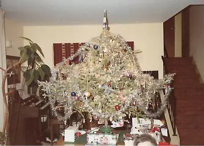 CHRISTMAS TREE Vintage FOUND PHOTOGRAPH Color ORIGINAL Snapshot 37 41 N • $15.58