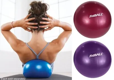 $8.88 • Buy FitBALL Mini Exercise Ball (9 Inch)