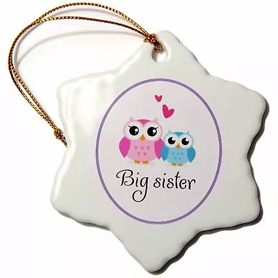 3dRose I Love My Big Sister 3 Inch Snowflake Porcelain Ornament • £14.45