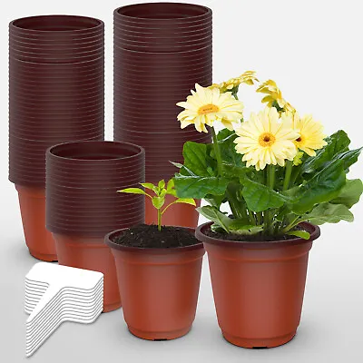 100-500 PCS Plastic Plant Flower Pot Nursery Seedlings Pot Container Garden USA • $19.95