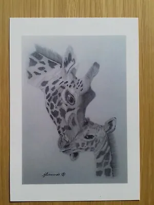£2.50 • Buy GIRAFFE & CALF Love A5 Print PICTURE Gift Art Drawing WILD ANIMAL