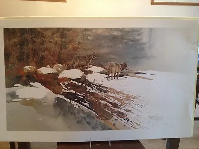 Morten Solberg Challenge Of The Wild Sold Out Limited Edition Print Wolf Wolves • $200