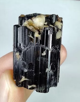 Tourmaline Crystal With Albite& Muscovite Mica From Skardu Pakistan. • $25