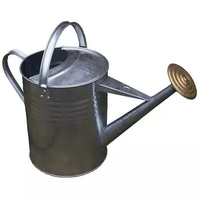 Apollo Gardening 9L 2Gal Traditional Galvanised Metal Watering Can Brass Rose  • £20.99