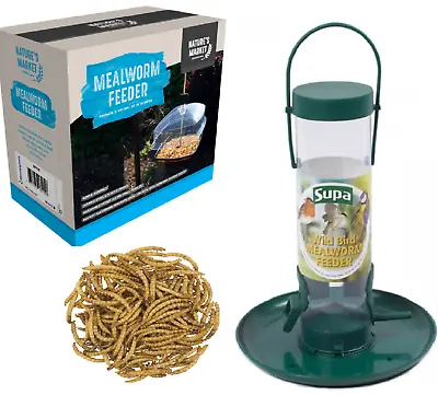 MEALWORM FEEDER - Wild Bird Feed Holder Bp Pet Food Tray Kf PawMits Basket Bowl  • £6.49