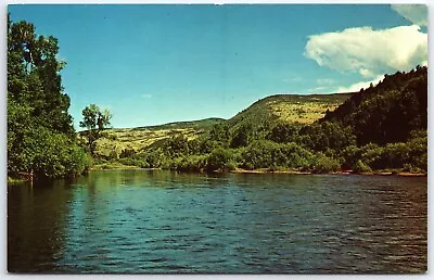 Vintage Old Postcard COLORADO Yampa River Valley Steamboat Springs Hayden Craig • $5.90