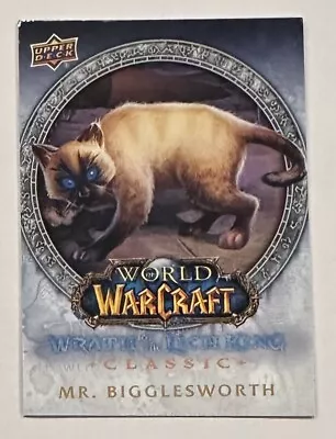 SDCC 2023 World Of Warcraft Wrath Of The Lich King Mr Bigglesworth SSP • $6.99